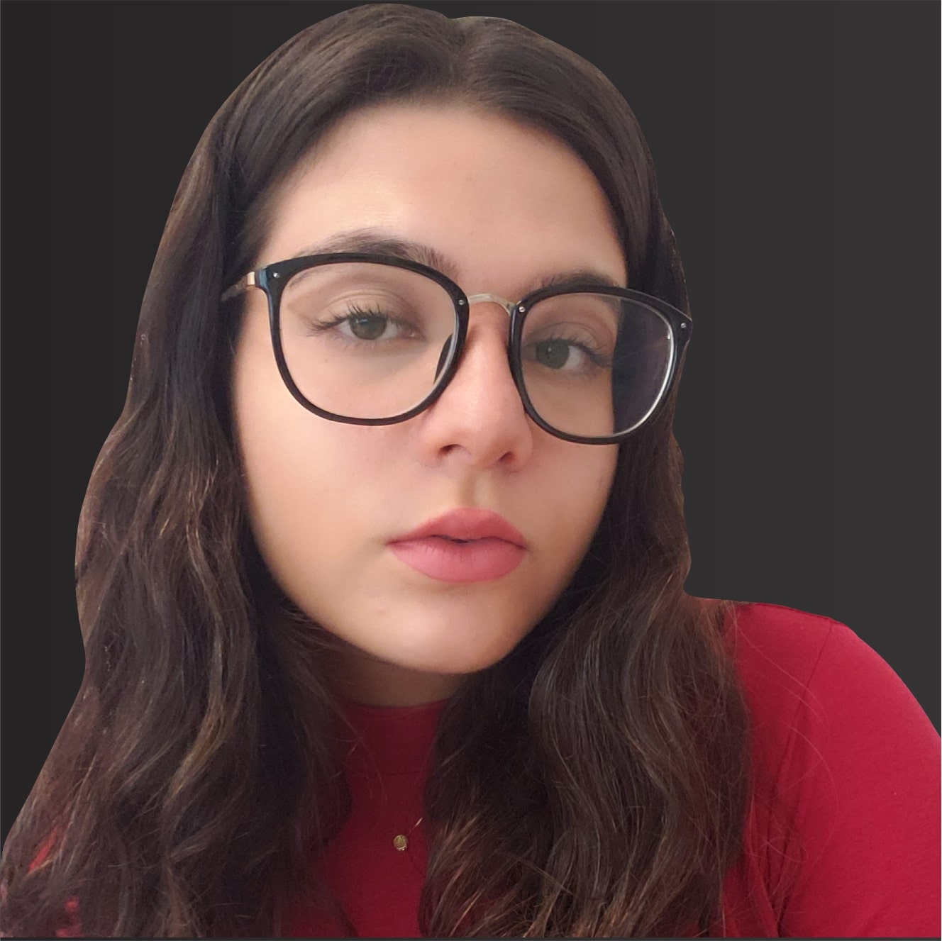 Gestora do instagram